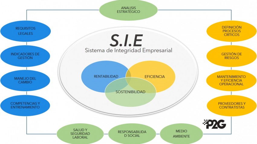 Modelo S.I.E. imagen
