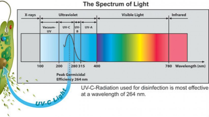 Lamparas Germicidas UVC imagen